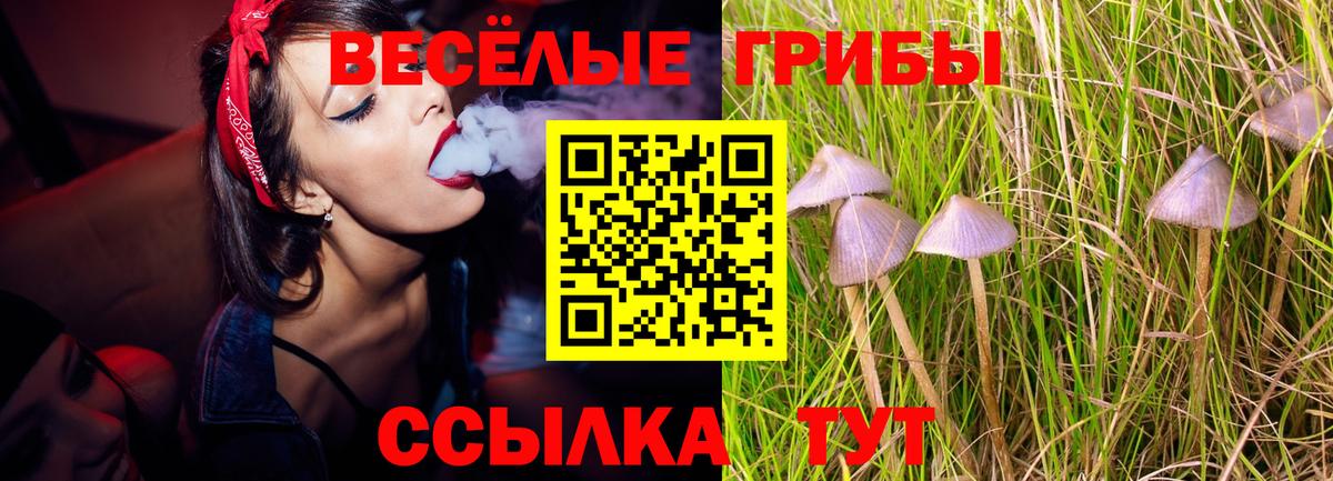 Псилоцибиновые грибы MAGIC MUSHROOMS  Вход с VPN  Псилоцибиновые грибы GOLDEN TEACHER  Аша 